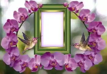 Fotoefect din categoria Rame foto pentru femei № 143676