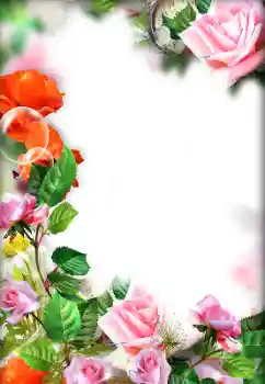 Fotoefect din categoria Rame foto pentru femei № 143693