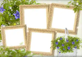 Fotoefect din categoria Rame foto pentru femei № 143738