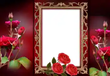 Fotoefect din categoria Rame foto pentru femei № 143757