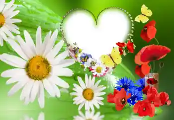Fotoefect din categoria Rame foto pentru femei № 143780