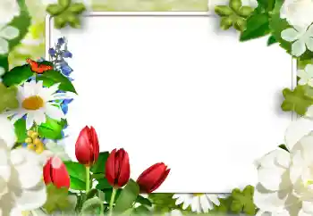 Fotoefect din categoria Rame foto pentru femei № 143811