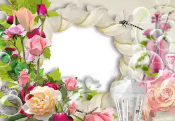Fotoefect din categoria Rame foto pentru femei № 144824
