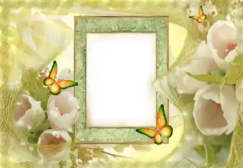 Fotoefect din categoria Rame foto pentru femei № 144841