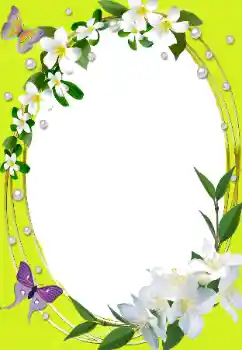 Fotoefect din categoria Rame foto pentru femei № 144952