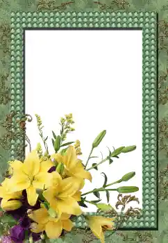 Fotoefect din categoria Rame foto pentru femei № 144962