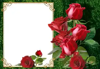Fotoefect din categoria Rame foto pentru femei № 145105