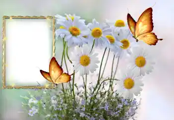 Fotoefect din categoria Rame foto pentru femei № 145117