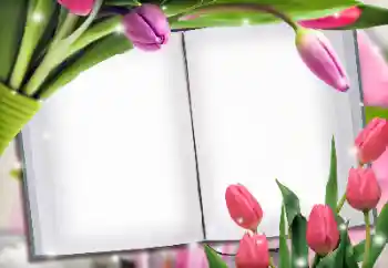 Fotoefect din categoria Rame foto pentru femei № 145223