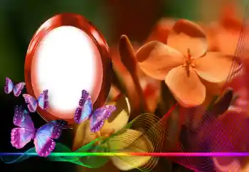 Fotoefect din categoria Rame foto pentru femei № 146254