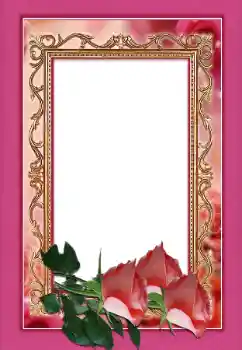 Fotoefect din categoria Rame foto pentru femei № 146366