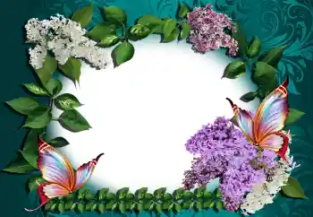 Fotoefect din categoria Rame foto pentru femei № 146371