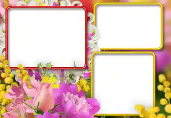 Fotoefect din categoria Rame foto pentru femei № 146392