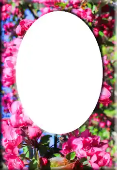 Fotoefect din categoria Rame foto pentru femei № 147641
