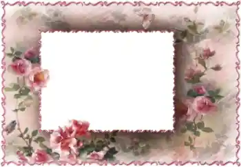 Fotoefect din categoria Rame foto pentru femei № 147733
