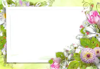 Fotoefect din categoria Rame foto pentru femei № 147734