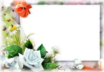 Fotoefect din categoria Rame foto pentru femei № 147740