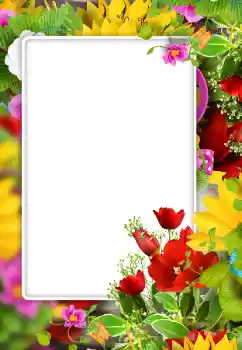 Fotoefect din categoria Rame foto pentru femei № 147741