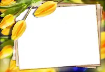 Fotoefect din categoria Rame foto pentru femei № 147770