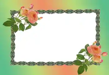 Fotoefect din categoria Rame foto pentru femei № 149186 Fotoefect din categoria Rame foto pentru femei № 149186