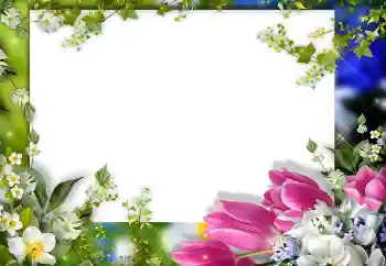 Fotoefect din categoria Rame foto pentru femei № 149325 Fotoefect din categoria Rame foto pentru femei № 149325
