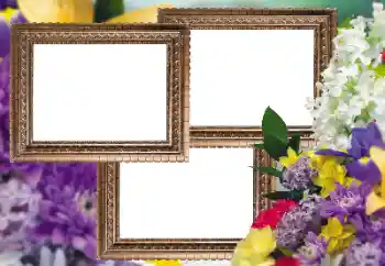 Fotoefect din categoria Rame foto pentru femei № 150537 Fotoefect din categoria Rame foto pentru femei № 150537