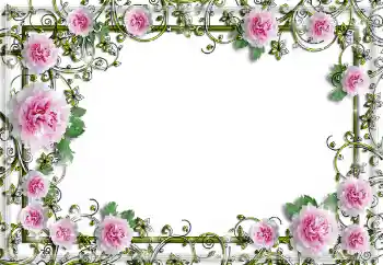 Fotoefect din categoria Rame foto pentru femei № 150641