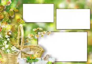Fotoefect din categoria Rame foto pentru femei № 151667