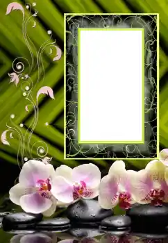 Fotoefect din categoria Rame foto pentru femei № 151707