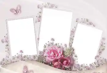 Fotoefect din categoria Rame foto pentru femei № 151772