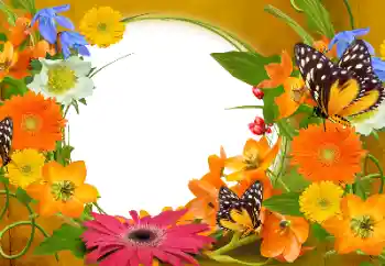 Fotoefect din categoria Rame foto pentru femei № 152894