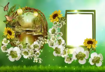 Fotoefect din categoria Rame foto pentru femei № 152953