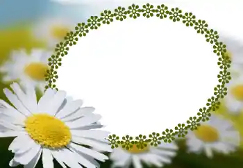 Fotoefect din categoria Rame foto pentru femei № 152966