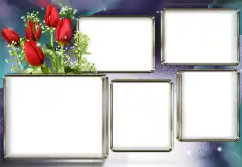 Fotoefect din categoria Rame foto pentru femei № 153003