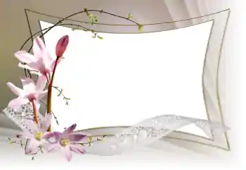Fotoefect din categoria Rame foto pentru femei № 153036