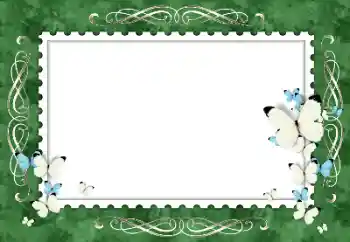 Fotoefect din categoria Rame foto pentru femei № 154319