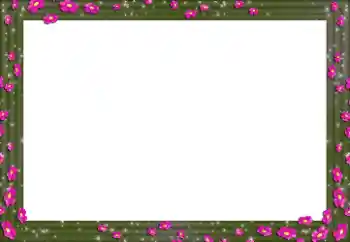 Fotoefect din categoria Rame foto pentru femei № 154328