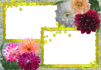 Fotoefect din categoria Rame foto pentru femei № 154361