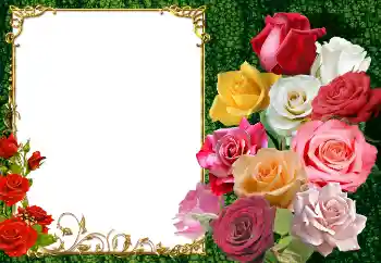Fotoefect din categoria Rame foto pentru femei № 154447