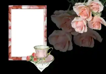 Fotoefect din categoria Rame foto pentru femei № 154738