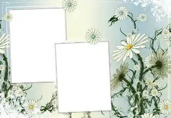 Fotoefect din categoria Rame foto pentru femei № 154786