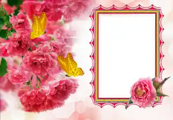 Fotoefect din categoria Rame foto pentru femei № 155792