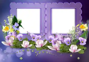 Fotoefect din categoria Rame foto pentru femei № 155795