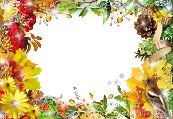 Fotoefect din categoria Rame foto pentru femei № 155799