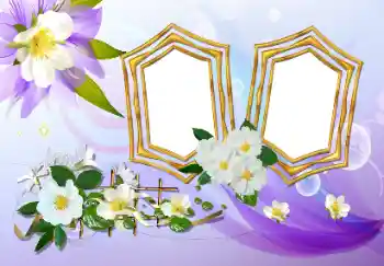 Fotoefect din categoria Rame foto pentru femei № 155815
