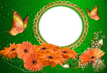 Fotoefect din categoria Rame foto pentru femei № 155817