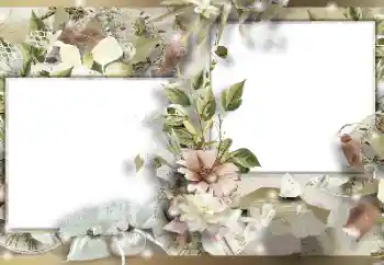 Fotoefect din categoria Rame foto pentru femei № 155832