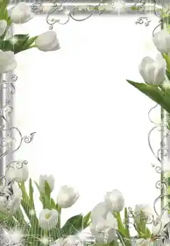Fotoefect din categoria Rame foto pentru femei № 155849