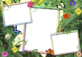 Fotoefect din categoria Rame foto pentru femei № 155853