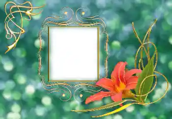 Fotoefect din categoria Rame foto pentru femei № 155869
